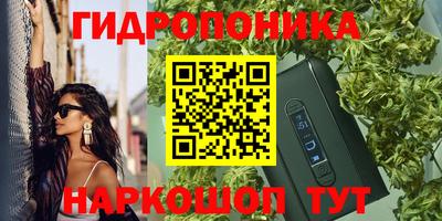 прущие грибы Чебаркуль