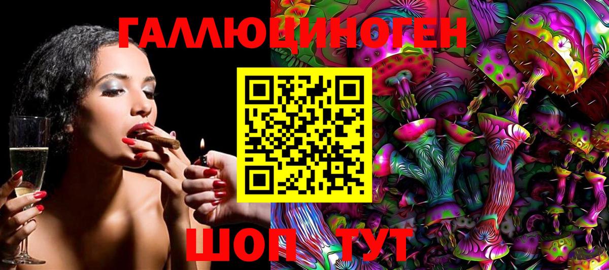Псилоцибиновые грибы ЛСД Новокубанск