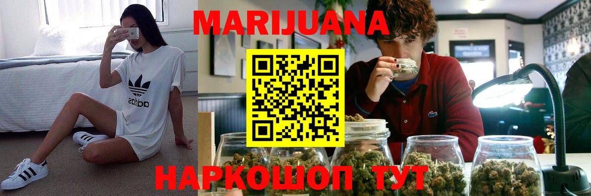 Бошки Шишки планчик Новокубанск